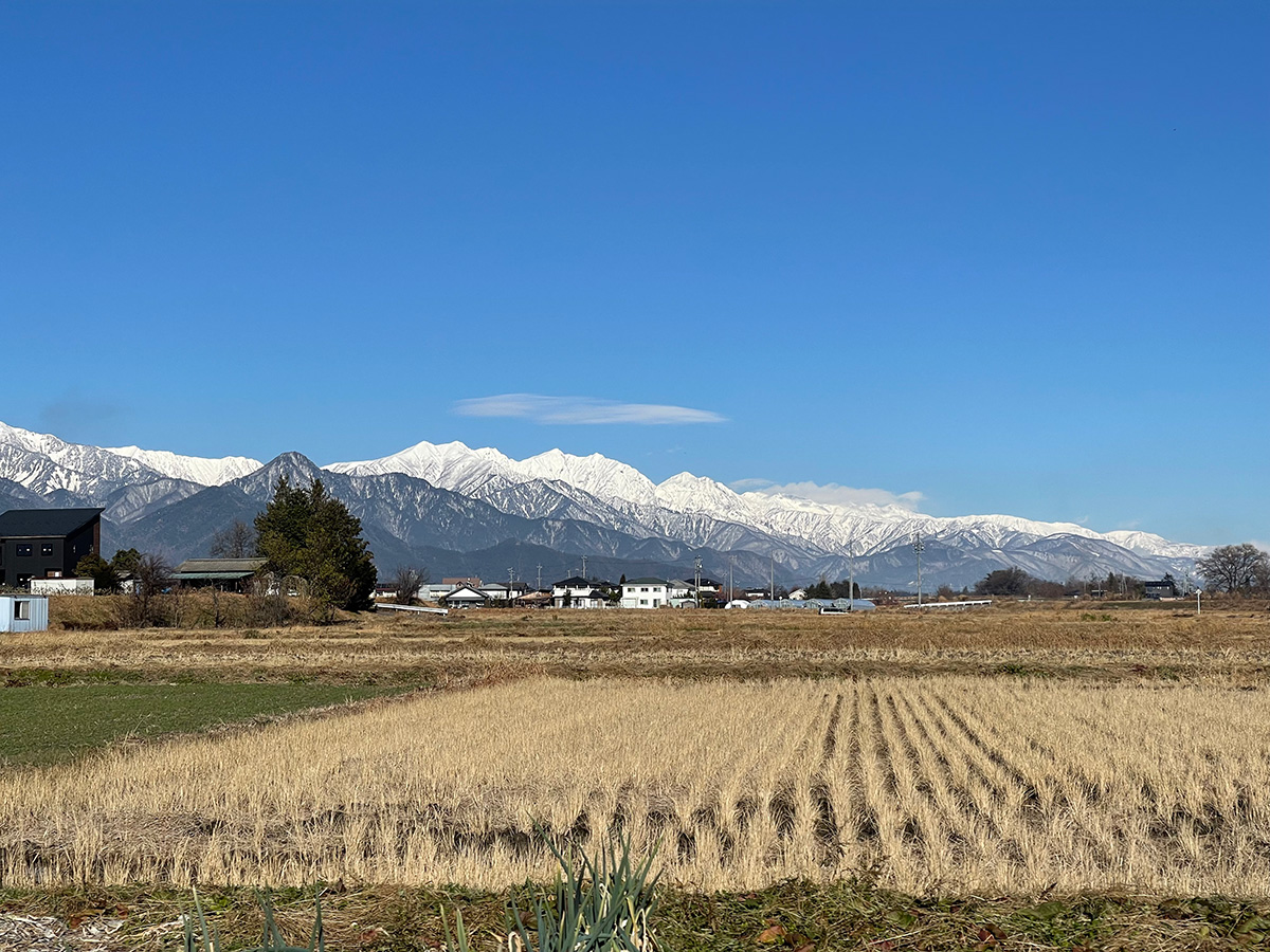 画像に alt 属性が指定されていません。ファイル名: IMG_8707.jpg